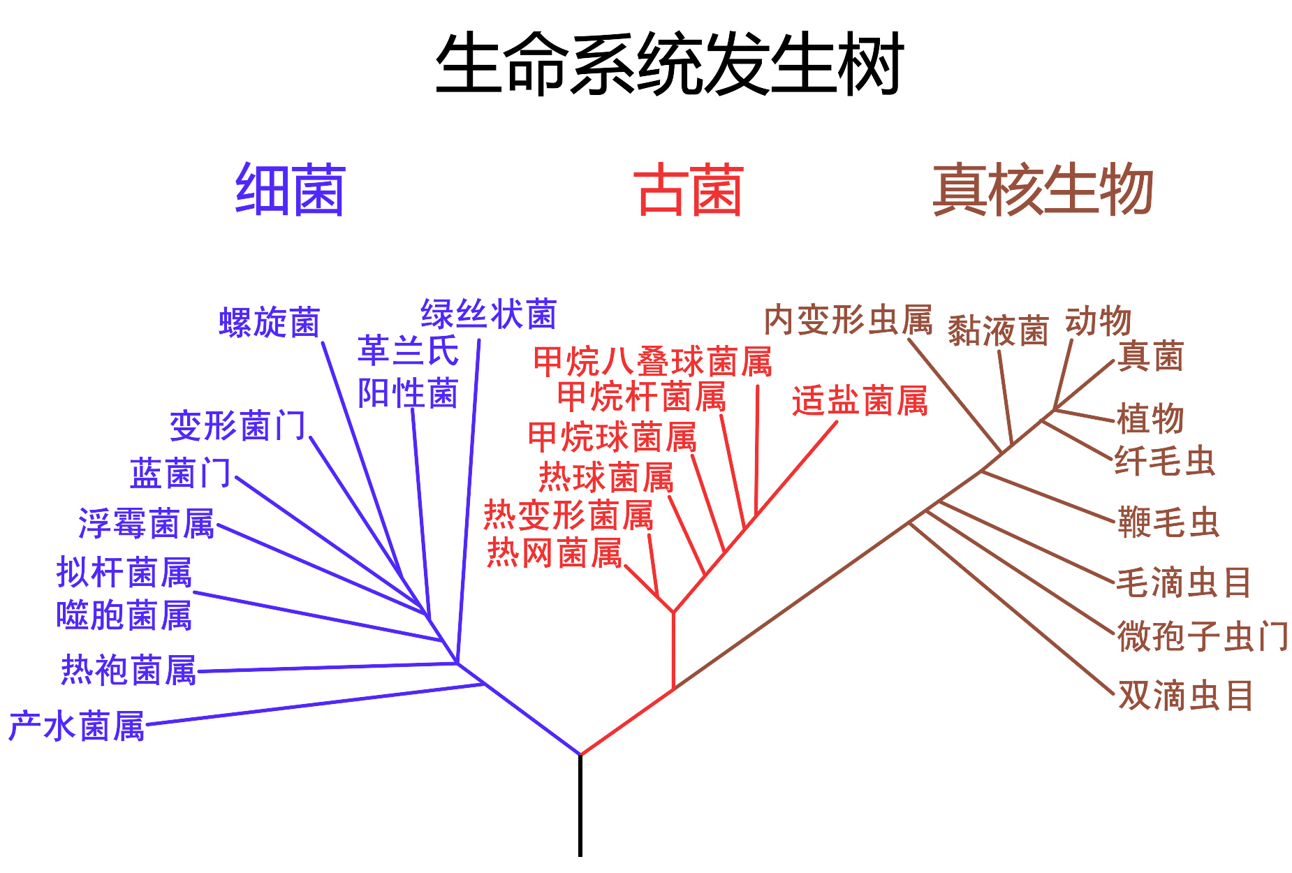 地球