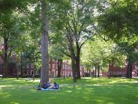 哈佛大学