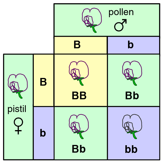 生物学