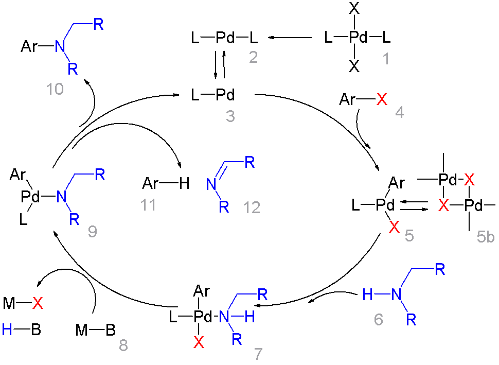 Buchwald–Hartwig偶联反应