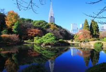新宿区