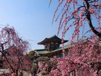 天满宫