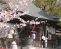 神社