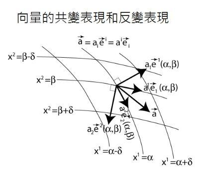 爱因斯坦求和约定