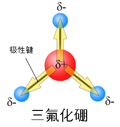 极性