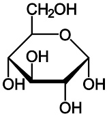 酒精发酵