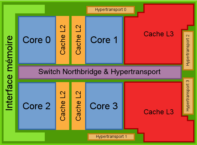 AMD 10h