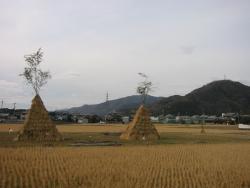 元宵節(jié)