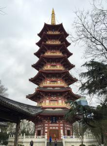 鹿城区