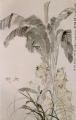 李鳝