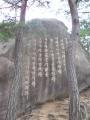 金刚山国际观光特别区