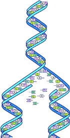 科学史