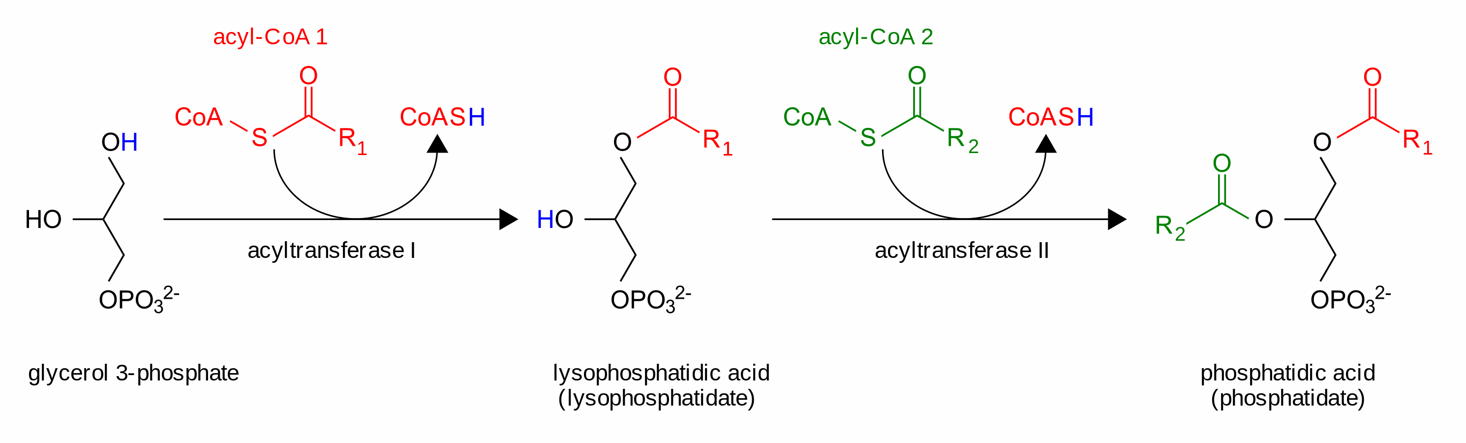 生物合成