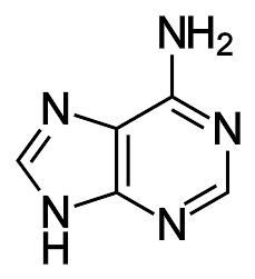 高分子