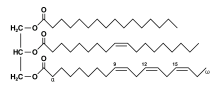 生物化学