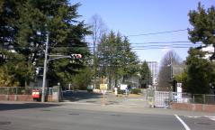 东北大学