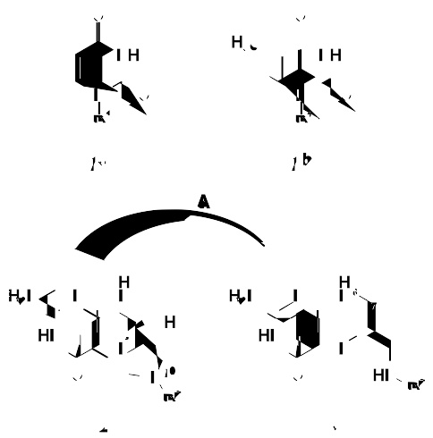 生物合成