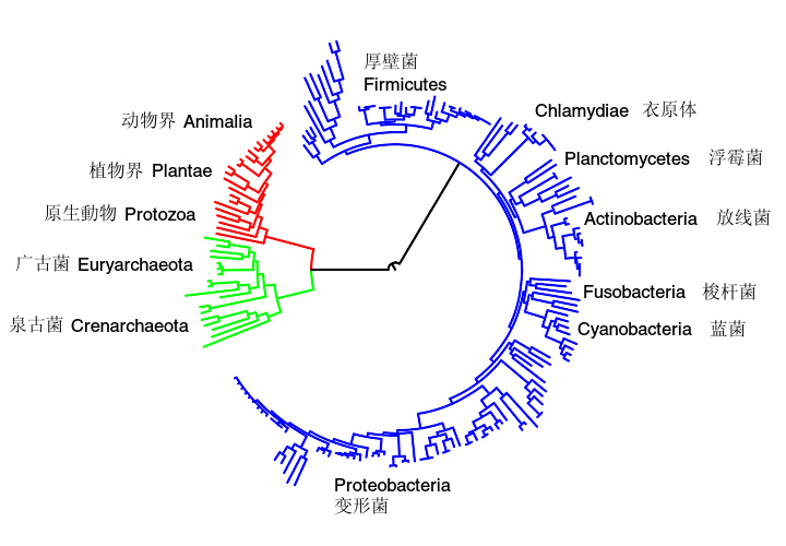 代谢