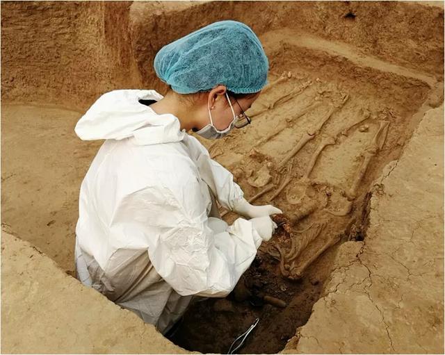 跟着DNA“神探”寻根问祖：9500年前，我国就有南北方人之分了？