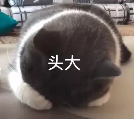 “韩国网友称江疏影是韩国名字”，由姓氏引发的故事你知道多少？