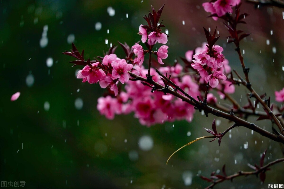 描写清明节的20首古诗，你都知道哪些？