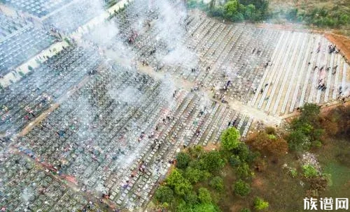 杏花烟雨江南上一句是什么