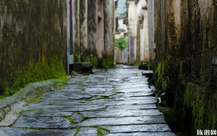 网上祭拜:超越时间空间的怀念!