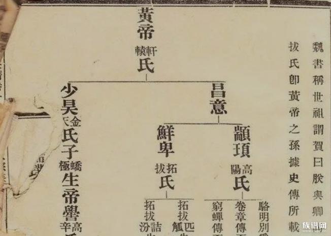 家谱查询免费网站，族谱查询系统网站盘点