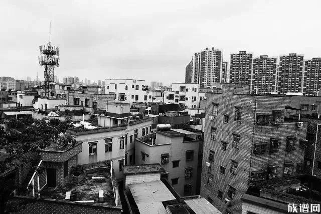 广州田心村林氏宗祠迁建复建效果图抢先看