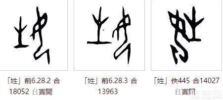 商王族子姓的甲骨文猜想