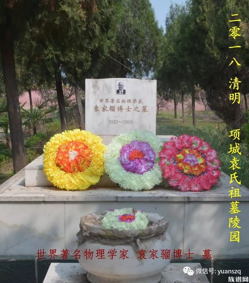 河南项城袁氏宗亲祭祖活动进举行