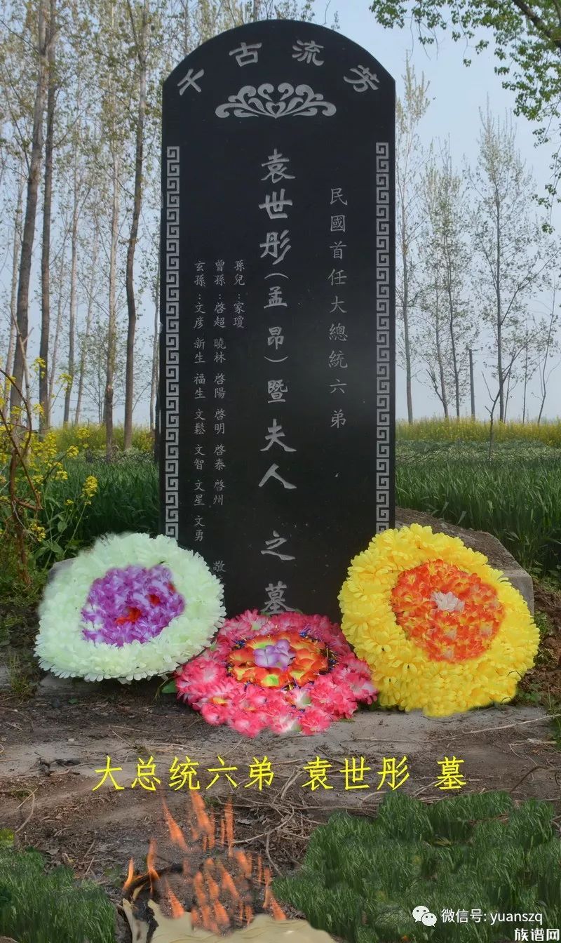 河南项城袁氏宗亲祭祖活动进举行