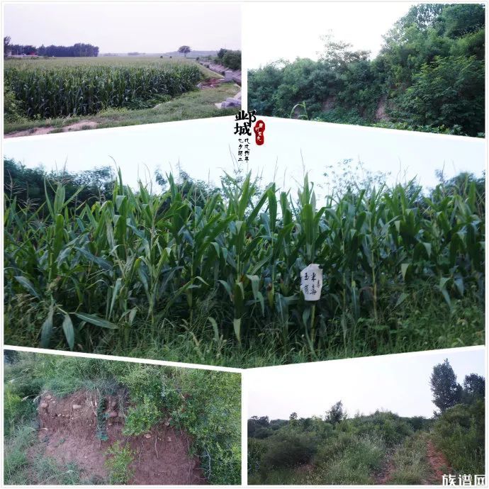 北朝墓群巡礼元氏三父子