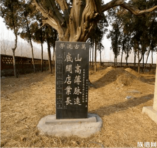 魯南蘇北薄氏家族發祥地莒南山底村