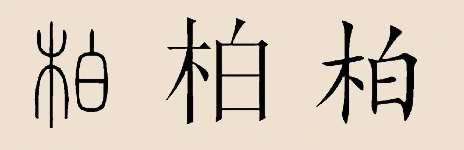 柏姓起源