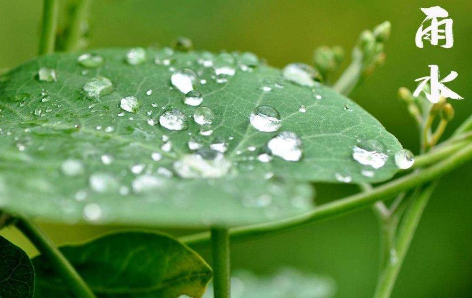 雨水节气特点