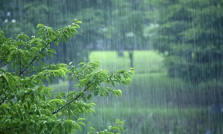 梅雨季节