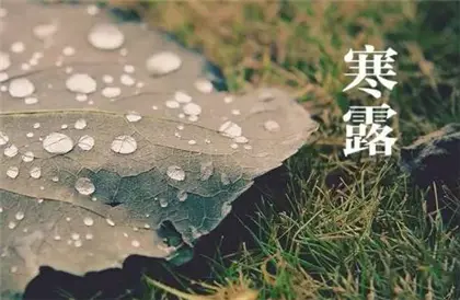 寒露吃什么