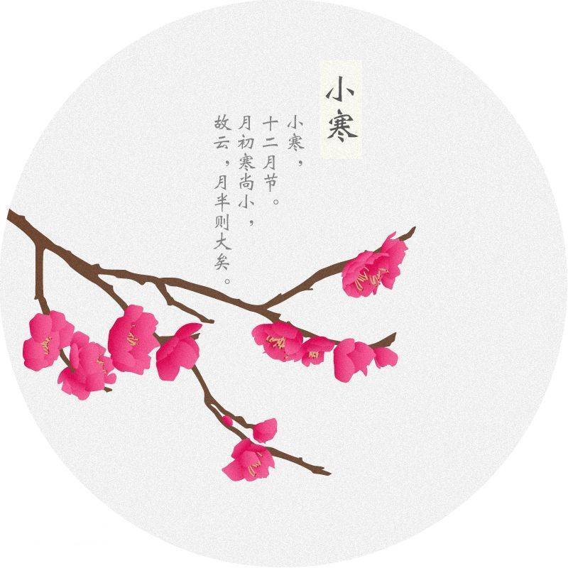 小寒吃什么食物