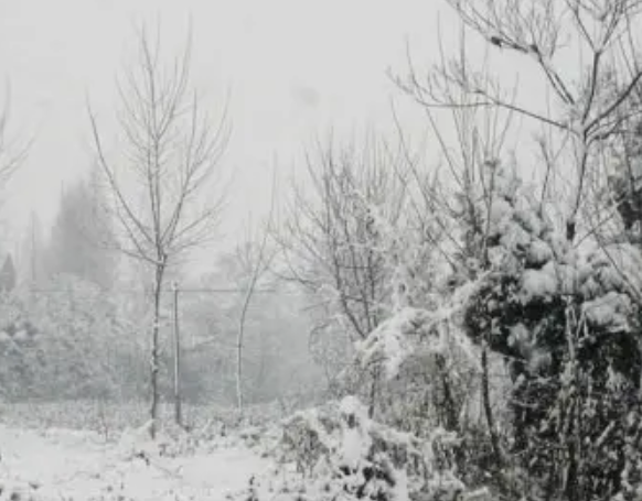 立春下雪有什么说法