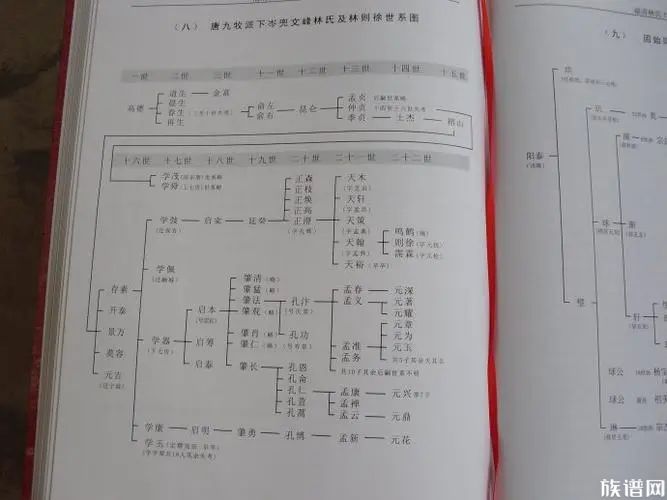 当心！拿到谱不先看这一点？寻根修谱可能白费功夫！