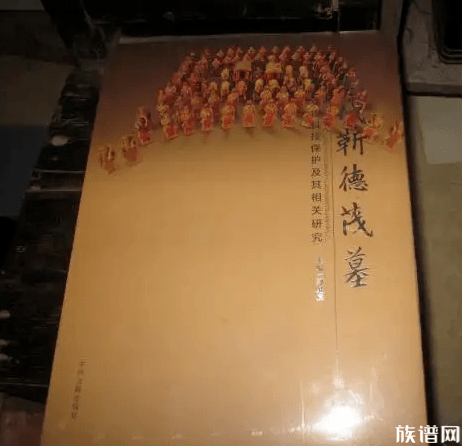 占地开发要迁700年祖坟，河南村民私自开挖！没想到专家这样说！