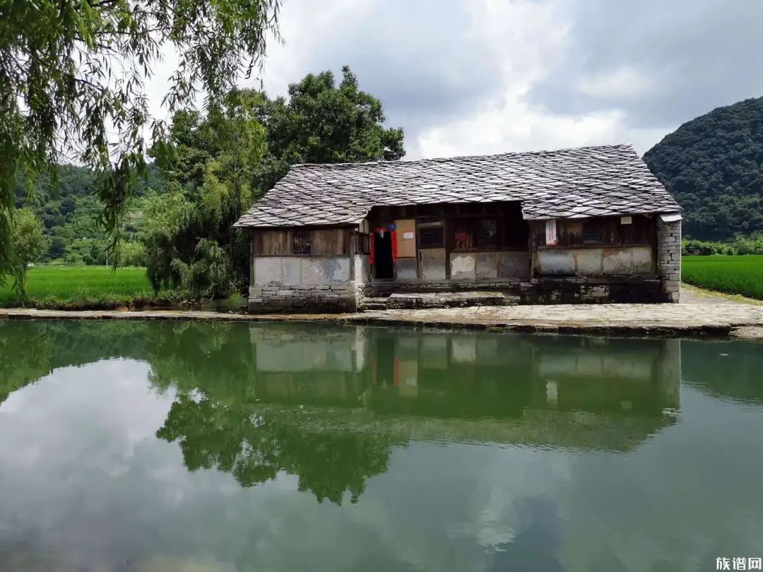 声音贵州 | 吾献黔景——赏油菜花不一定非要去罗平，贵州安顺这个地方也能让人惊艳！