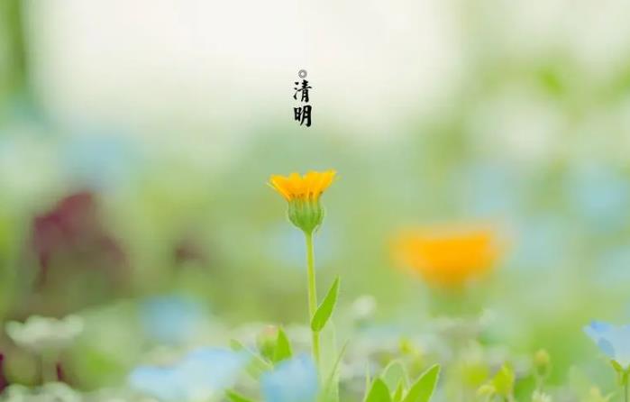清明节是农历几月几日