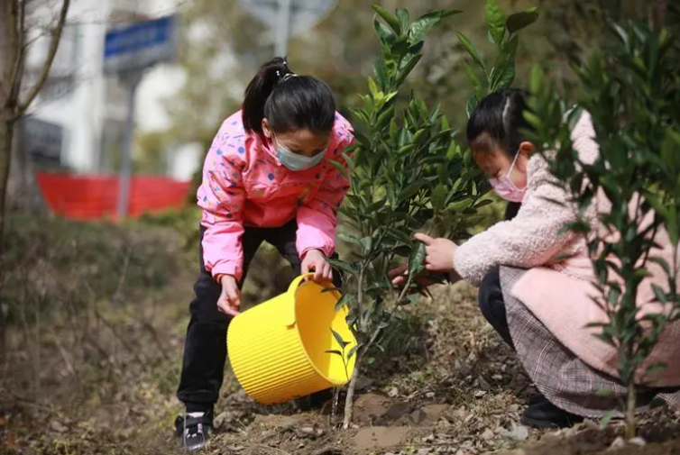 植樹(shù)節(jié)看圖寫(xiě)話一年級(jí)