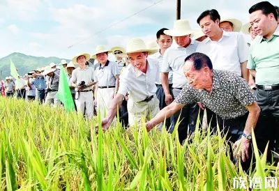 禾下乘凉梦，十里稻花香。袁公千古！