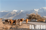 伏羲氏是不是开创肉食的食祖?