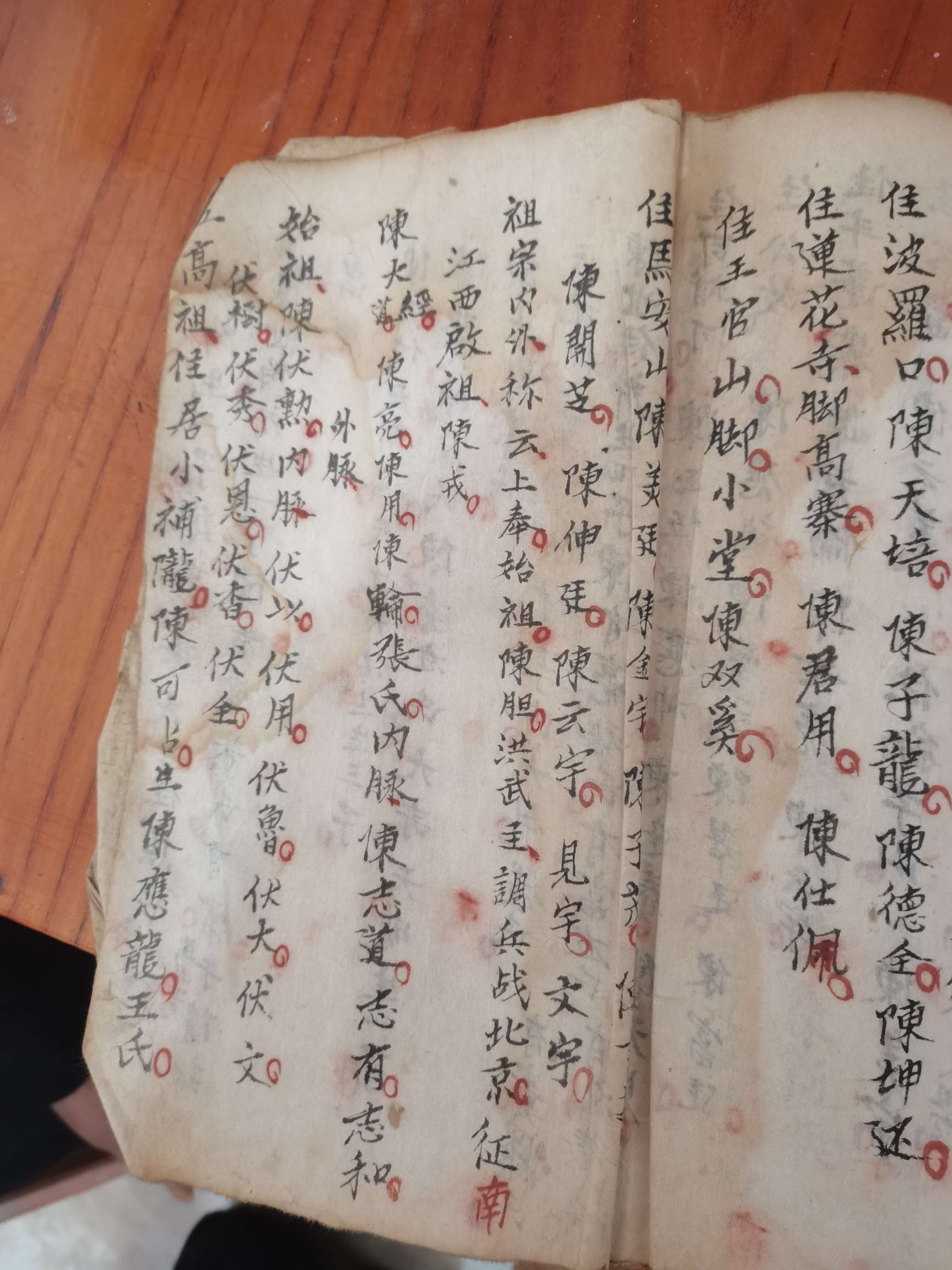 陈氏宗亲正在寻根