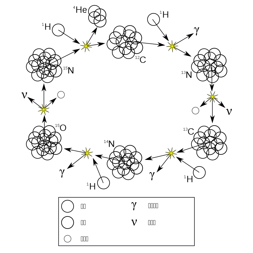 碳氮氧循環(huán)