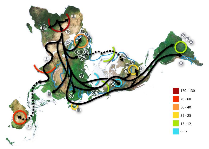 人类单地起源说